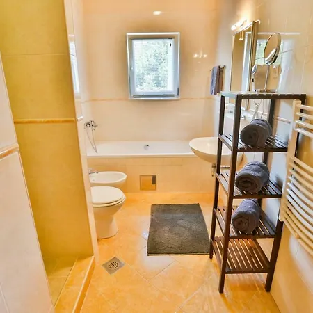 With Private Pool Bobovisca